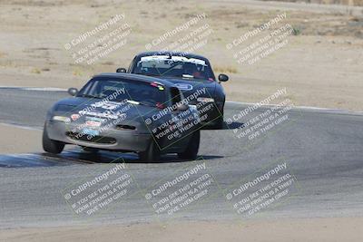 media/Nov-04-2023-CalClub SCCA (Sat) [[cb7353a443]]/Group 3/Cotton Corners (Race)/